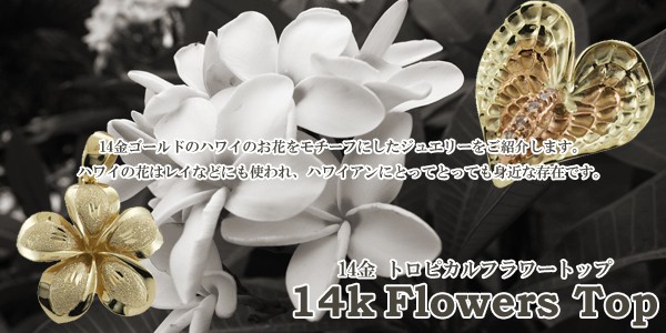 アロアロハワイアンジュエリー 2トーンマイレリーフプレート　ペンダントトップ 888048diayg_1.jpg
