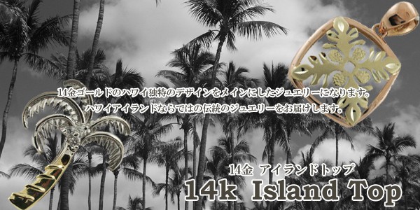 ハワイアンジュエリー 14K ゴールド ペンダント トップ ALOHA 黒サンゴ