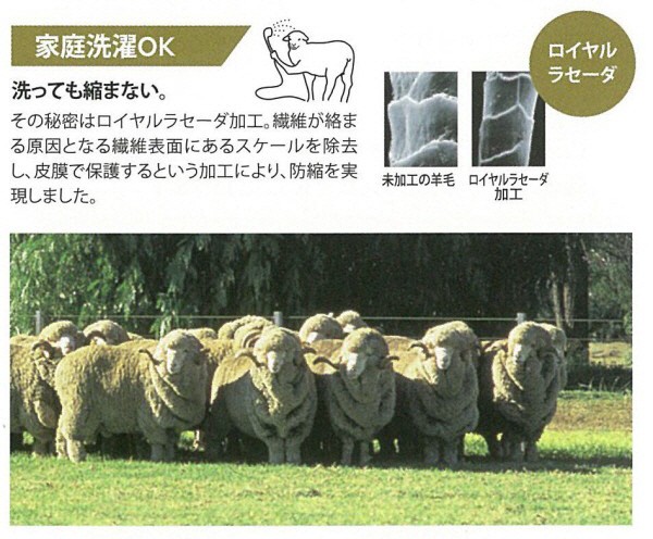 西川 京都西川 ローズ メリノウール毛布 ウォッシャブルタイプ