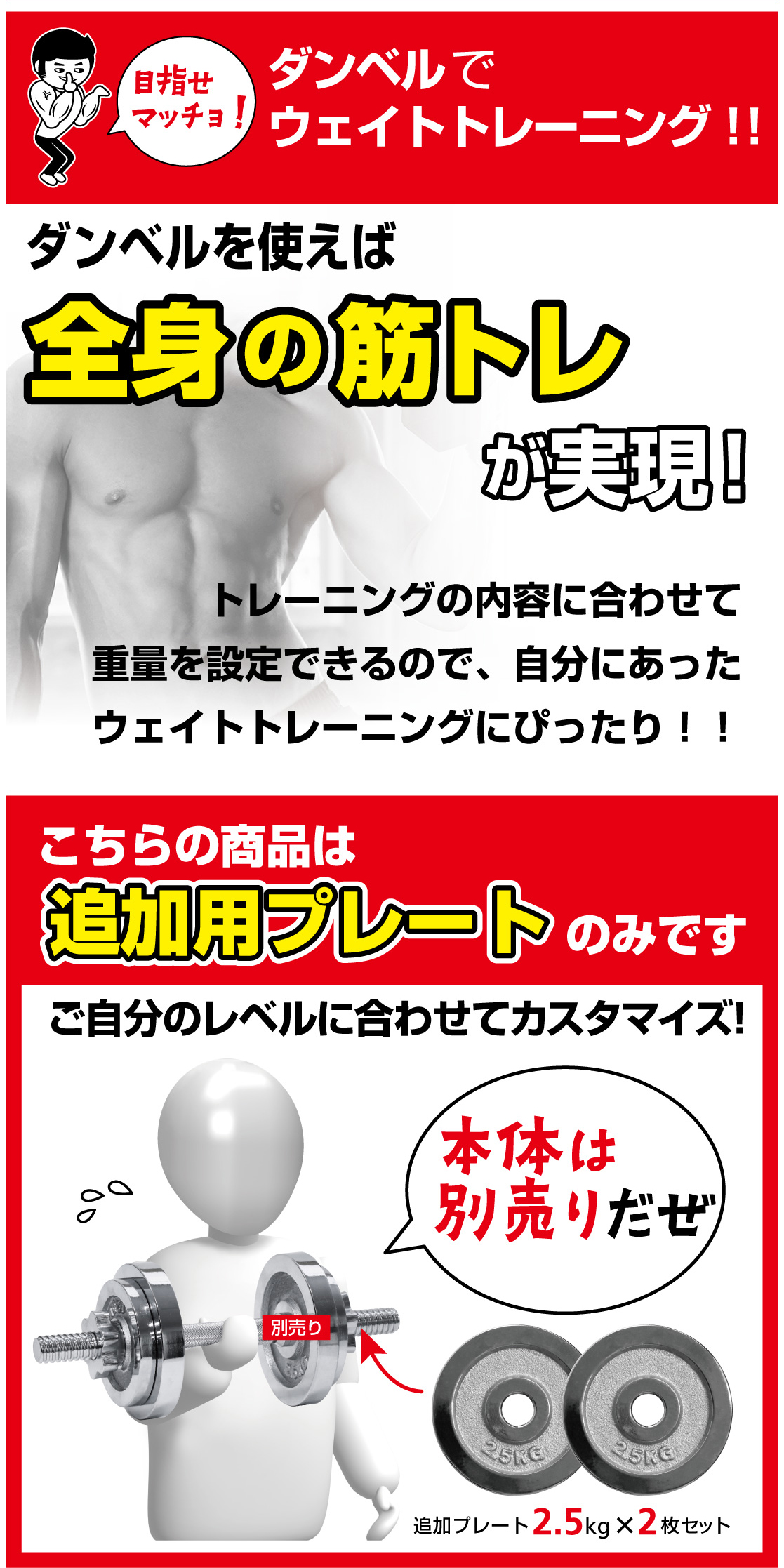 TIGORA ティゴラ 着脱式ダンベルプレート 2.5kg ダンベル