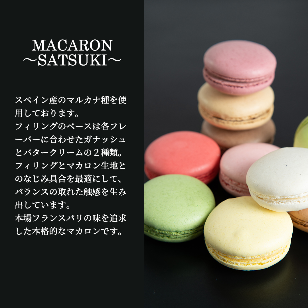 MACARON〜SATSUKI〜 マカロン10個入り マカロン マカロンセット MACARON〜SATSUKI〜 マカロン10個入り マカロン マカロンセット