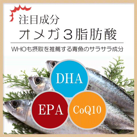 冷え サプリ ３袋セット 国際博覧会金賞受賞！巡り 生姜 しょうが DHD EPA ヒハツ カリウム イチョウ葉エキス メリロート 田七人参 タマネギ皮 ナットウキナーゼの画像