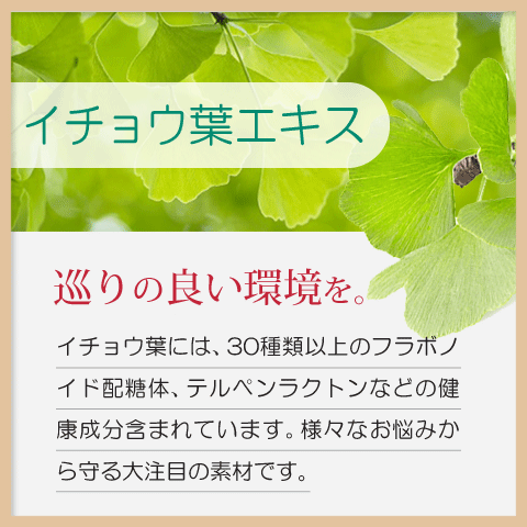 冷え サプリ ３袋セット 国際博覧会金賞受賞！巡り 生姜 しょうが DHD EPA ヒハツ カリウム イチョウ葉エキス メリロート 田七人参 タマネギ皮 ナットウキナーゼの画像