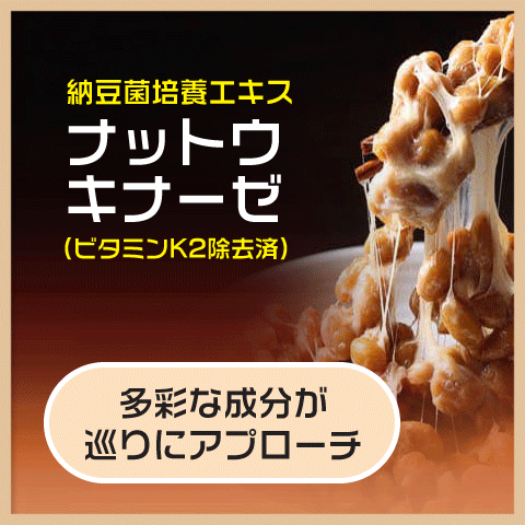 冷え サプリ ３袋セット 国際博覧会金賞受賞！巡り 生姜 しょうが DHD EPA ヒハツ カリウム イチョウ葉エキス メリロート 田七人参 タマネギ皮 ナットウキナーゼの画像