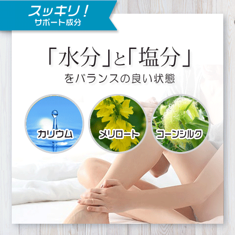 冷え サプリ ３袋セット 国際博覧会金賞受賞！巡り 生姜 しょうが DHD EPA ヒハツ カリウム イチョウ葉エキス メリロート 田七人参 タマネギ皮 ナットウキナーゼの画像