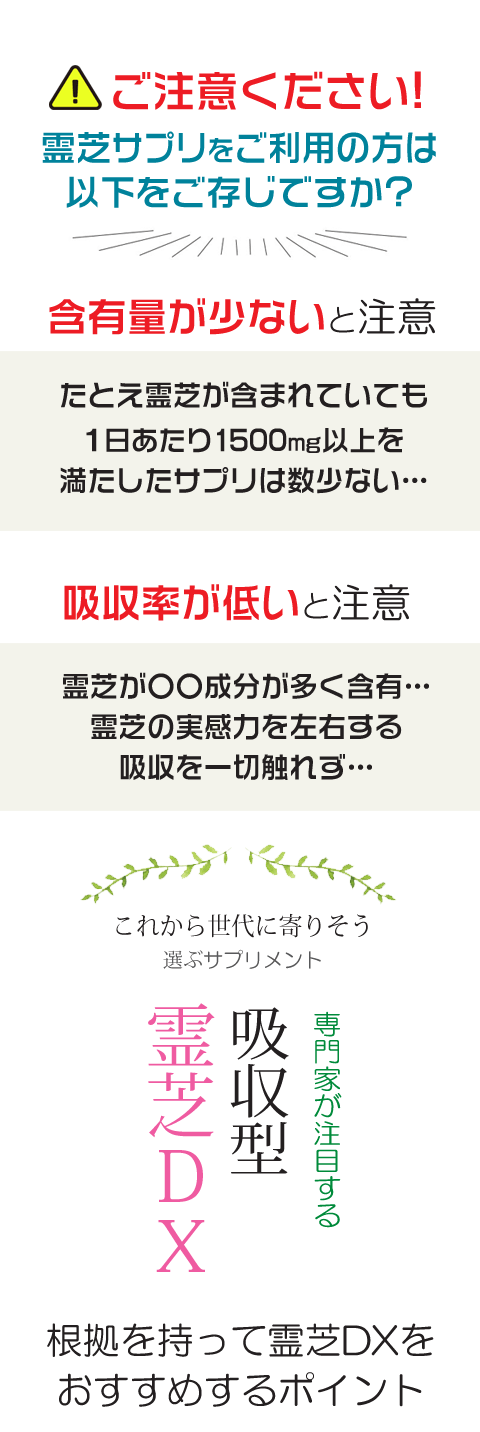 霊芝 120粒２ヶ月分 国際キノコ協会推薦 靈芝 マンネンタケ 低分子霊芝 霊芝の最高峰 国際博覧会金賞受賞！