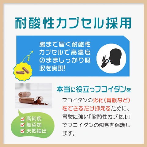 Alphay フコイダン 3個セット 半年分 日本製 沖縄産もずく100% 沖縄 