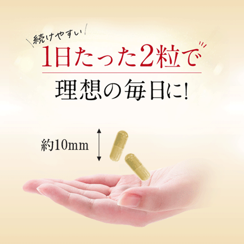 冬虫夏草のおすすめ人気商品一覧 通販 - Yahoo!ショッピング