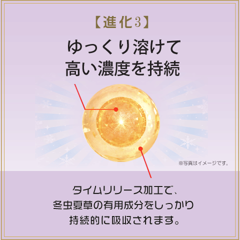 吸収型冬虫夏草 純度100% 無添加 無著色 冬虫夏草 10本セット 国際博覧会金賞受賞！虫草 サナギタケ 虫草素 コルディセピン_11