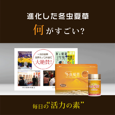 吸収型冬虫夏草 純度100% 無添加 無著色 冬虫夏草 10本セット 国際博覧会金賞受賞！虫草 サナギタケ 虫草素 コルディセピン_8