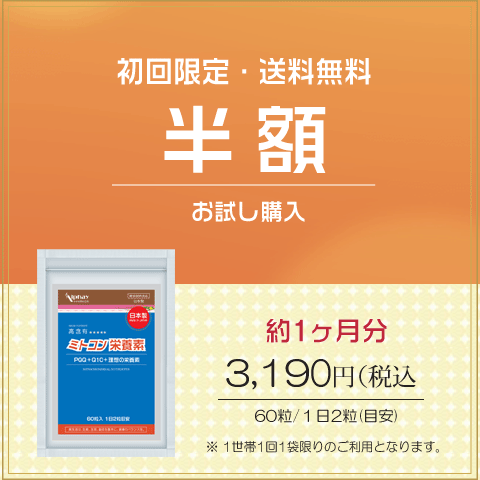 初回限定半額キャンぺーン