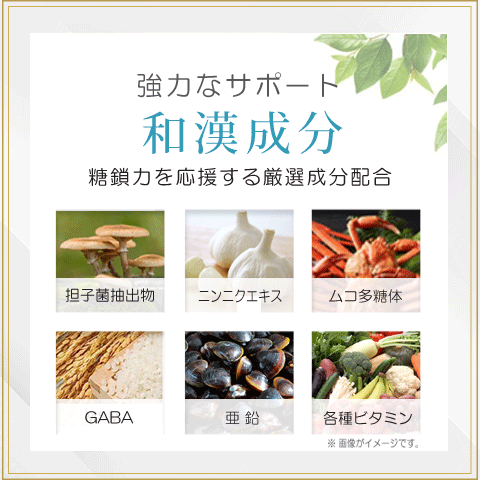 Alphay 糖鎖 糖鎖栄養素 超吸収型 お試し30粒 8種類の単糖全て含有