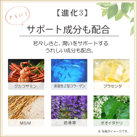 msmコラーゲンiiスーパーの商品一覧 通販 - Yahoo!ショッピング