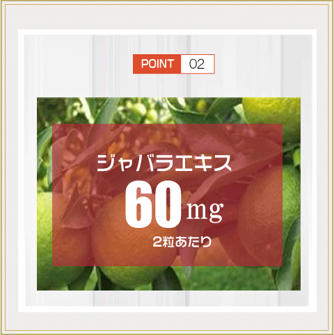 Alphay 花粉 サプリ 5袋＋1袋付 日本製 無添加 花粉対策 ほこり 酢酸菌 