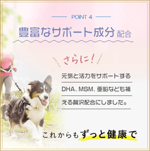 犬 サプリ ３袋セット オートファジー ペット 関節 皮膚 免疫 腎臓 脳 心血管 高齢 シニア 非変性２型コラーゲン プロテオグリカン 米胚芽抽出物 コンドロイチン_7