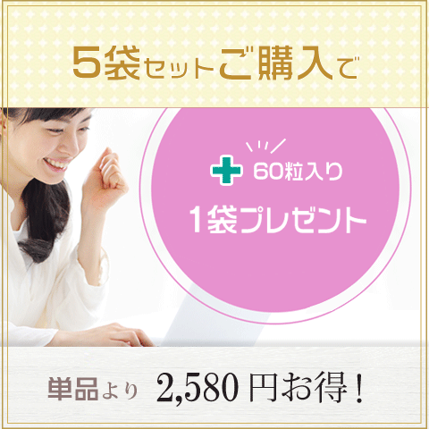 犬 サプリ ３袋セット オートファジー ペット 関節 皮膚 免疫 腎臓 脳 心血管 高齢 シニア 非変性２型コラーゲン プロテオグリカン 米胚芽抽出物 コンドロイチン_11