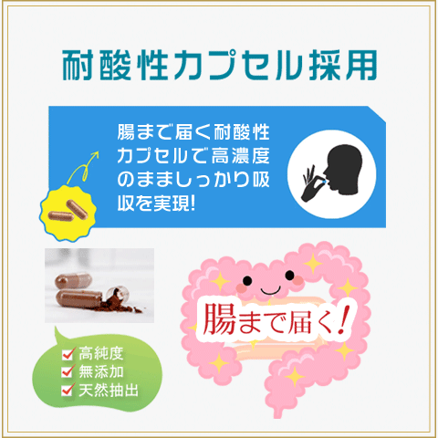 Alphay 精子の質 精子の老化 妊娠力アップ 男性の妊活 精育 精子