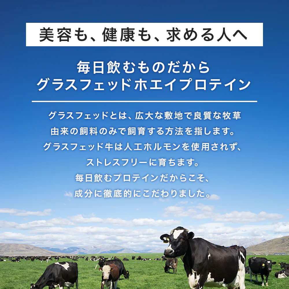 ホエイ ソイ