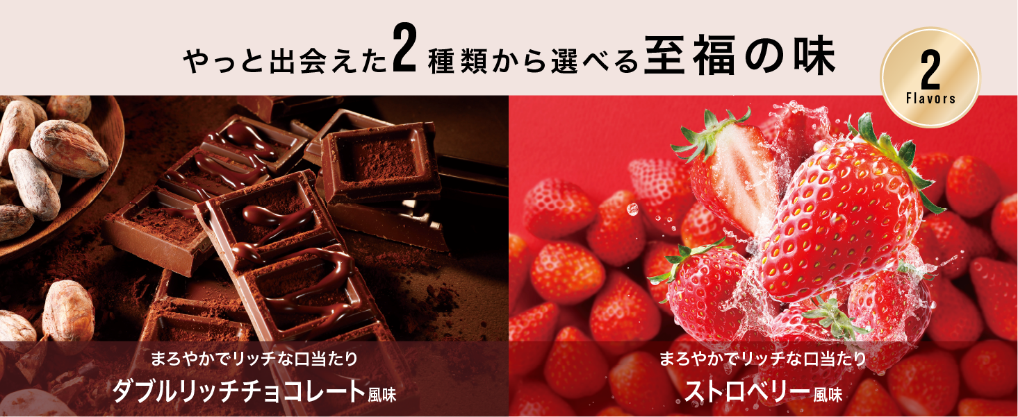 【5%OFF+10%クーポン】ソイプロテイン 900g ダイエットサプリ 選べる アルプロン ダイエット 置き換え 男性 女性 美容 美味しい チョコレート | アルプロン | 09