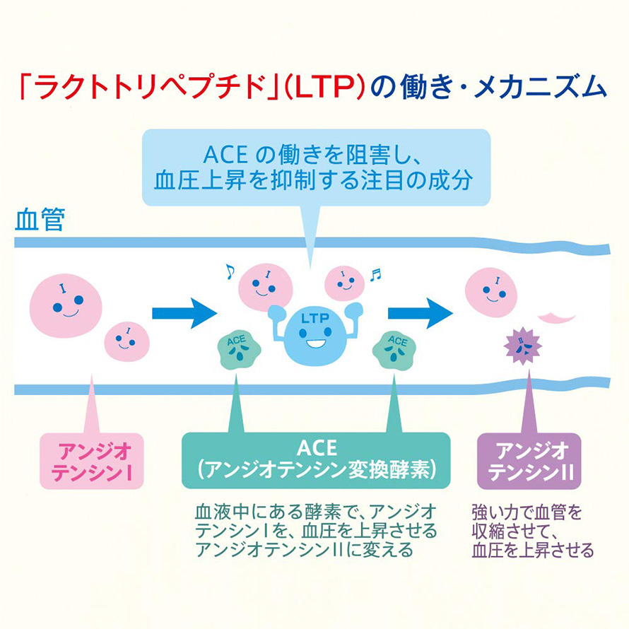 血圧が高めの方に適した機能性表示食品