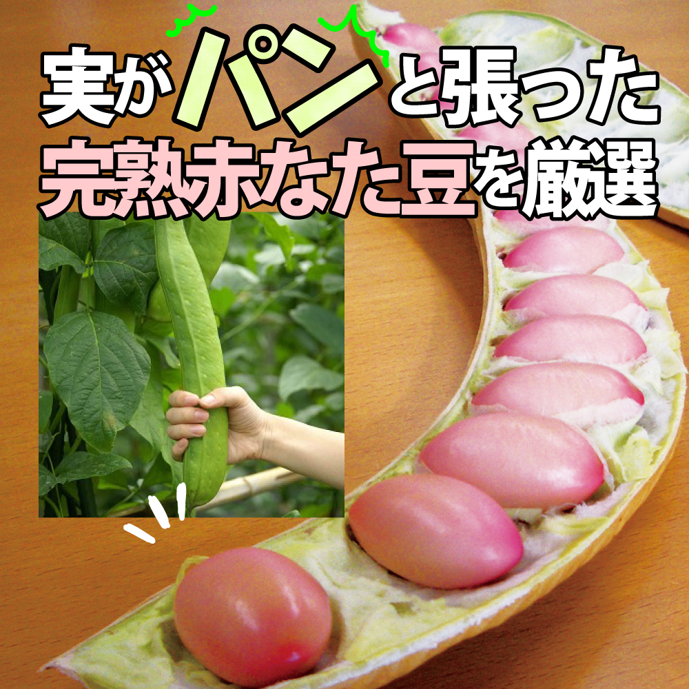 なた豆茶 国産 富士の赤なた豆茶 100%豆とサヤ(4g×30包) │ 刀豆茶 な