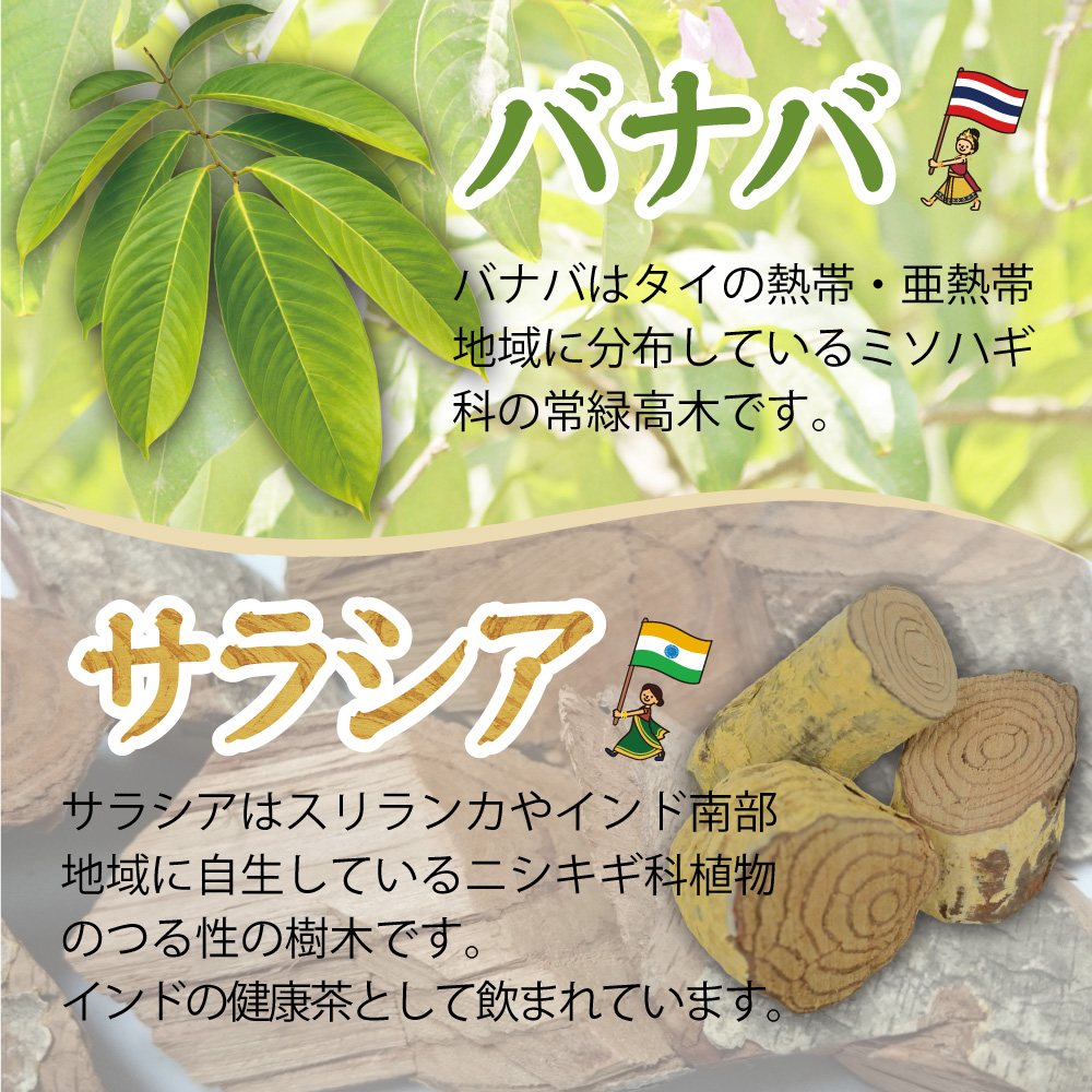 バナバ・サラシア茶　1袋　3ｇ×40包　ティーバッグ　ノンカフェイン　【DM便・送料無料】 |  | 08