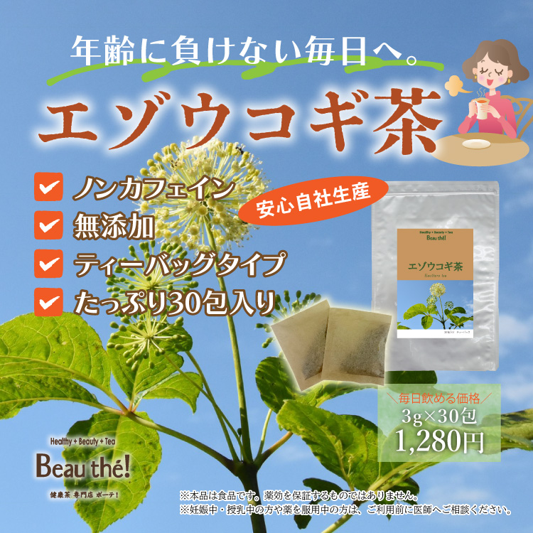 エゾウコギ茶