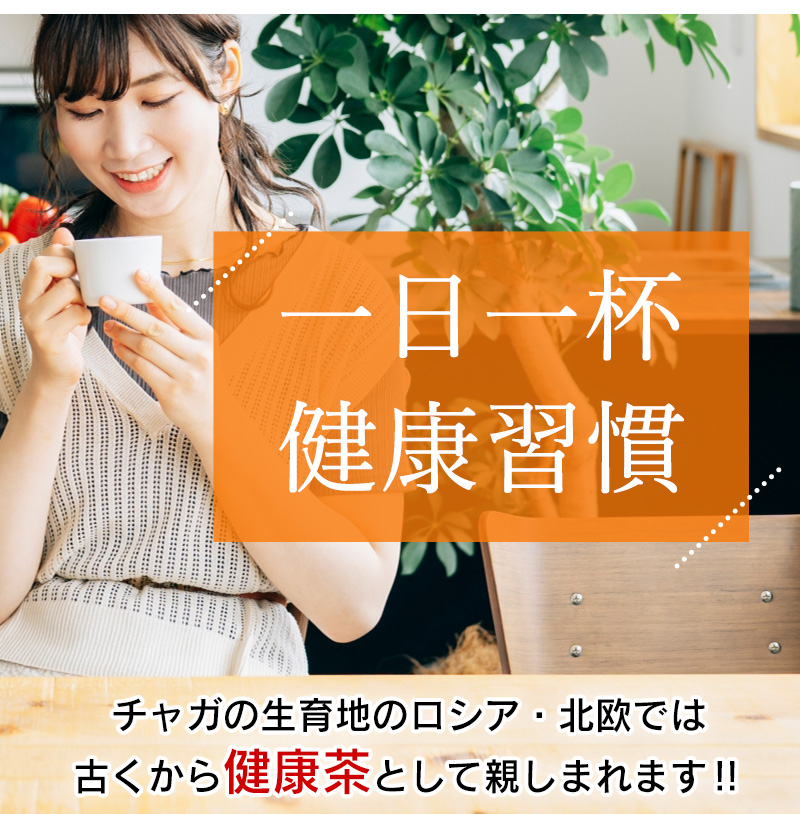 チャーガティー(カバノアナタケ茶）　30包【DM便送料無料】