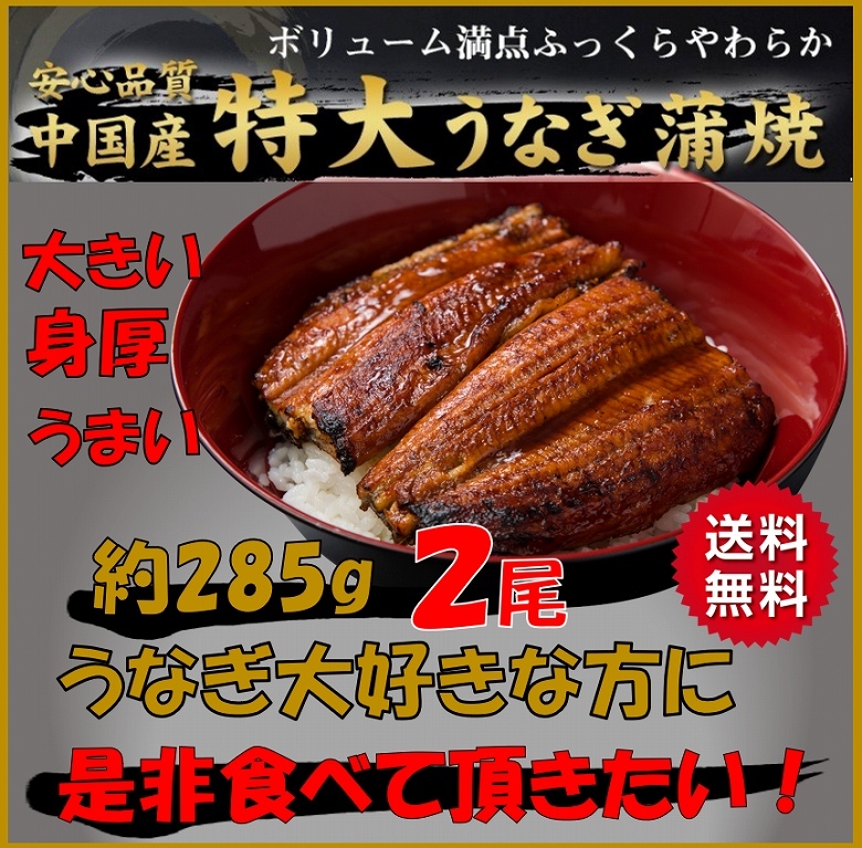 父の日 遅れてごめんね プレゼント 国産 ギフト 山椒 送料無料 食べ方の説明書付き タレ うなぎ 鰻2,499円 ウナギ