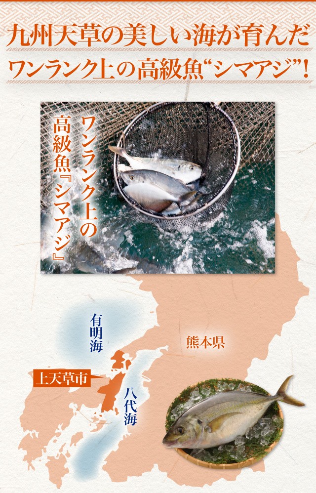 ワンランク上の高級魚シマアジ！