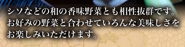 シソなどの和の香味野菜とも相性抜群