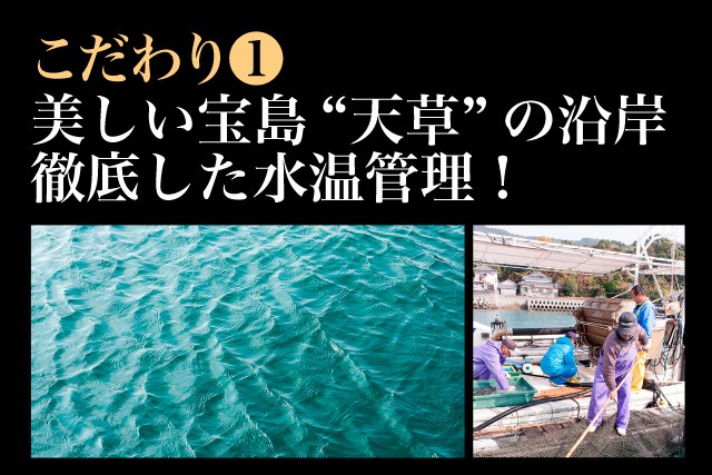 こだわり(1) 魚の品質
