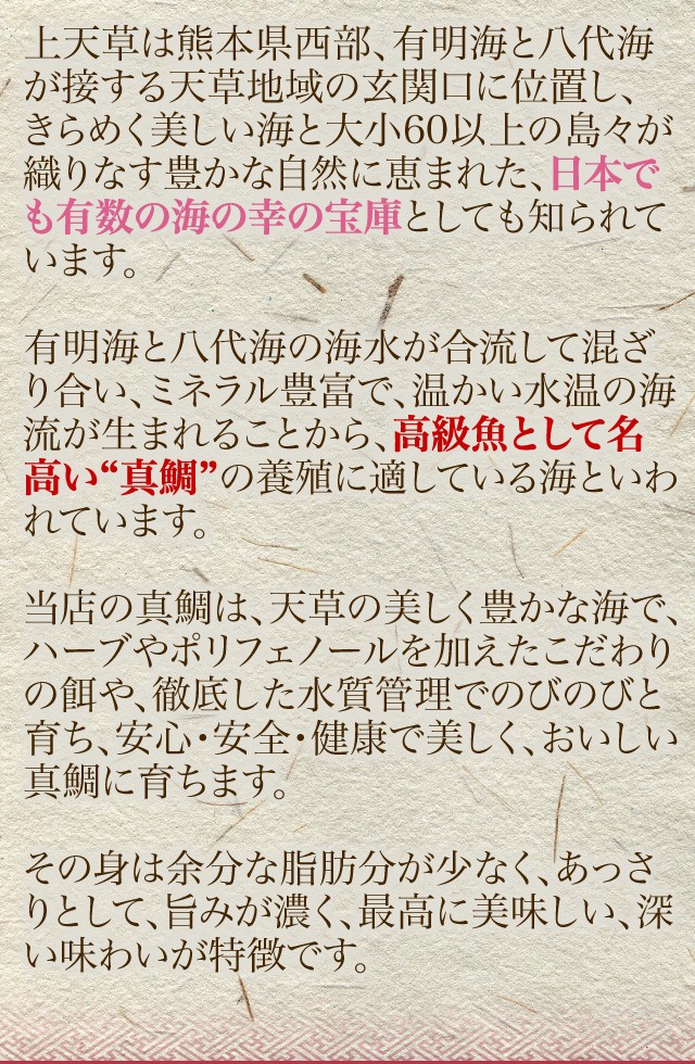 上天草は熊本県西部、有明海と八代海が接する天草地域の玄関口に位置し、 きらめく美しい海と大小60以上の島々が織りなす豊かな自然に恵まれた、日本でも有数の海の幸の宝庫としても知られています。有明海と八代海の海水が合流して混ざり合い、ミネラル豊富で、温かい水温の海流が生まれることから、高級魚として名高い“真鯛”の養殖に適している海といわれています。当店の真鯛は、天草の美しく豊かな海で、ハーブやポリフェノールを加えたこだわりの餌や、徹底した水質管理でのびのびと育ち、安心・安全・健康で美しく、おいしい真鯛に育ちます。その身は余分な脂肪分が少なく、あっさりとして、旨みが濃く、最高に美味しい、深い味わいが特徴です。