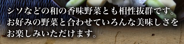 シソなどの和の香味野菜とも相性抜群