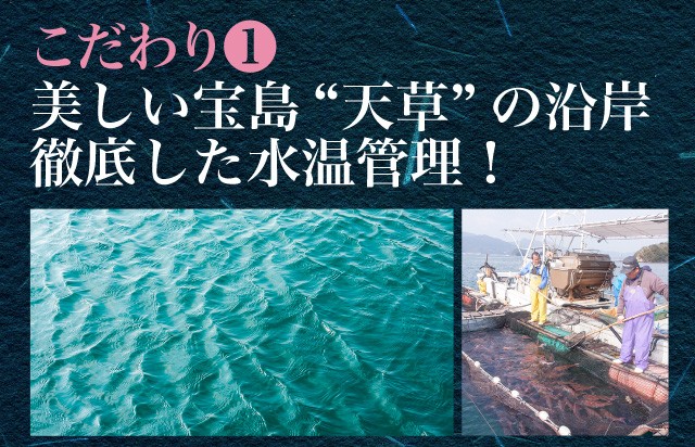 こだわり(1) 魚の品質