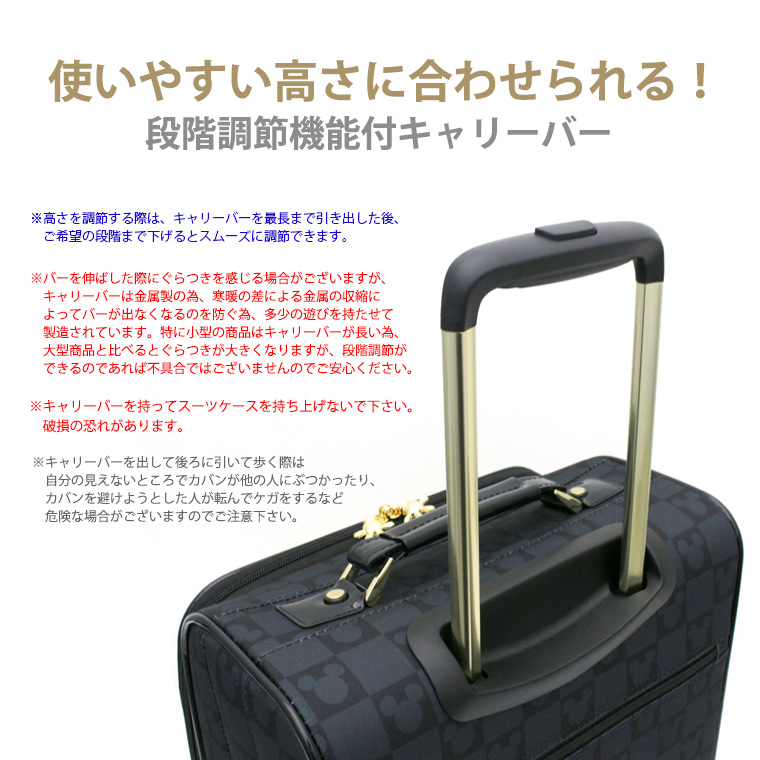 Disney（ディズニー） ミッキーマウス ソフトキャリーバッグ キャリー