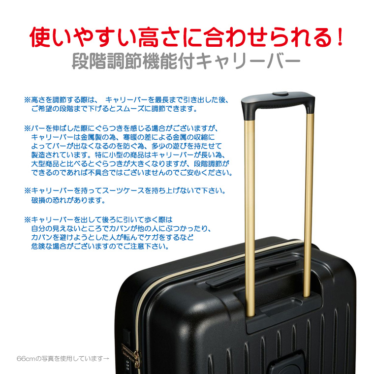 段階調節機能付キャリーバー