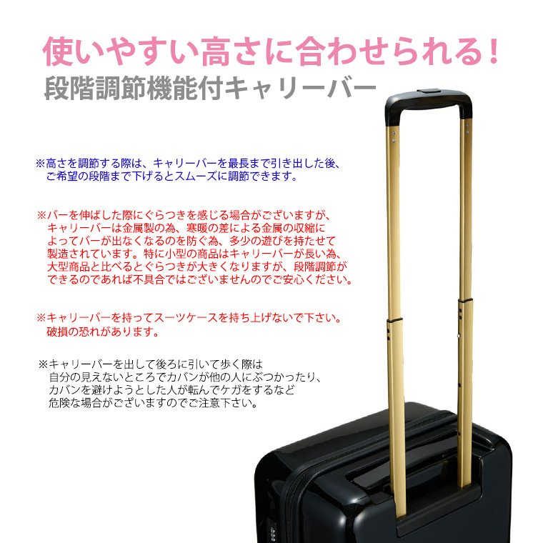 キャリーバー