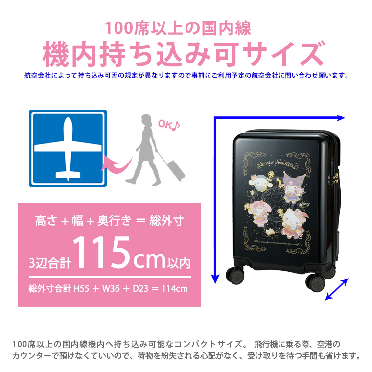 機内持ち込み可