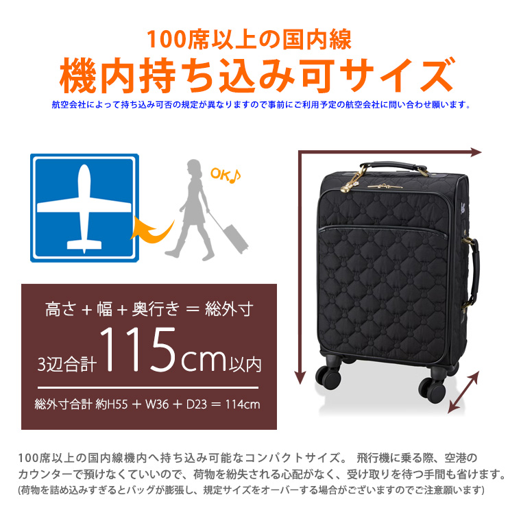 機内持ち込み可サイズ(キャビンサイズ)