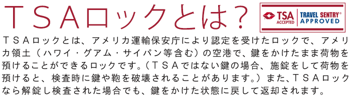 TSAロックとは