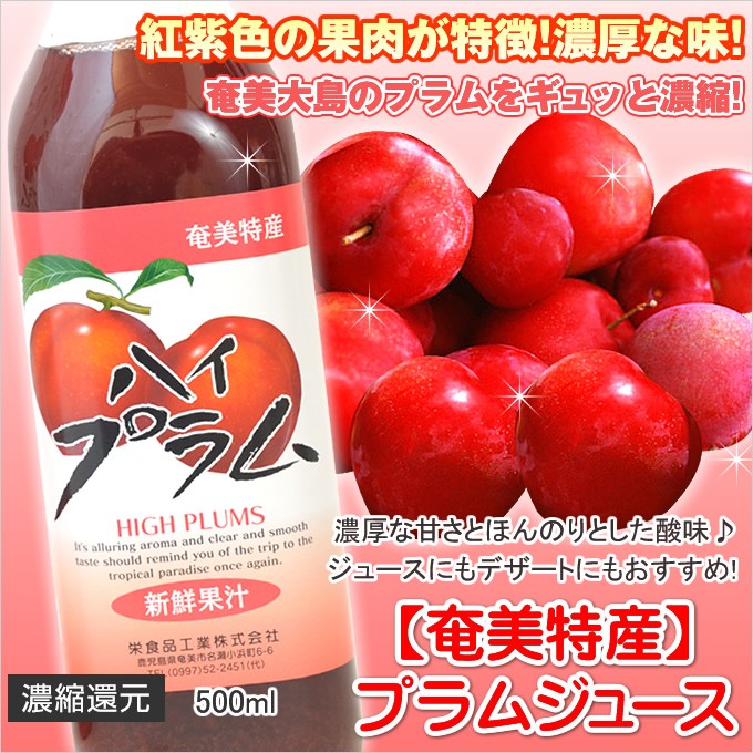 プラムジュース 500ml×12本 1ケース 栄食品 すもも スモモ ぷらむ