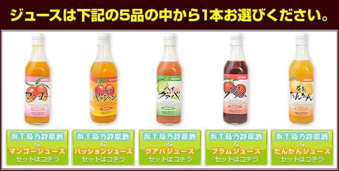 焼酎 ジュース ギフト 2本セット 奄美 黒糖焼酎 浜千鳥乃詩 原酒38度