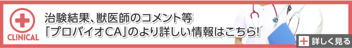 詳しい情報はこちら