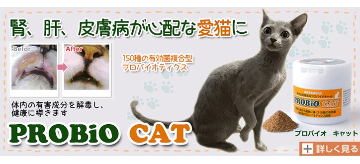 アマナグレイス Yahoo!店 - プロバイオCAT（プロバイオCA）｜Yahoo 