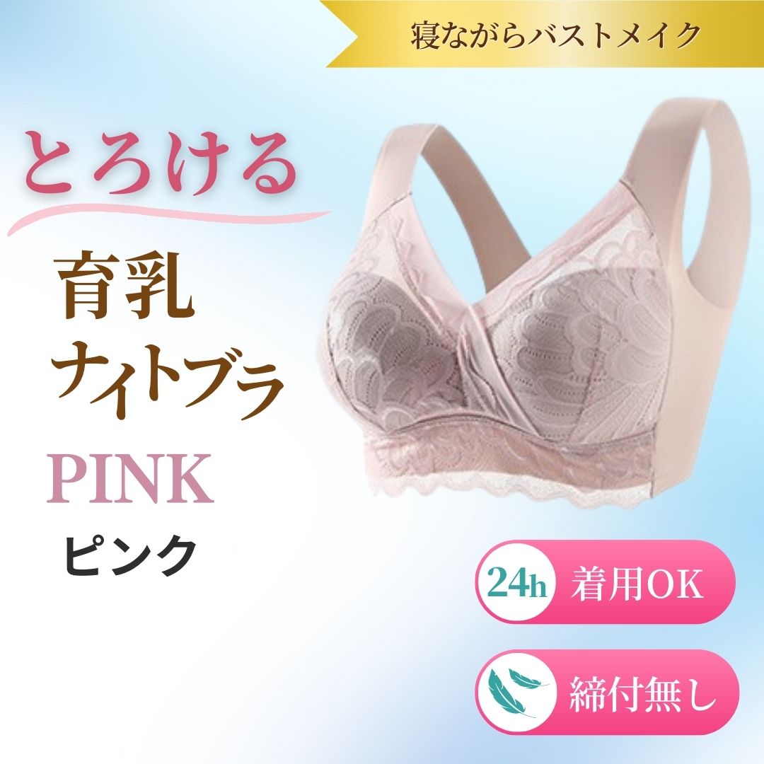 専用です♪ BRADALIS ブラック ブラジャー LL タグ付き　新品☆ BRADELIS NewYork（ブラデリスニューヨーク） ブラジャー サポート