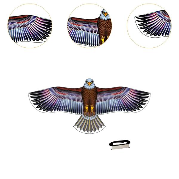 イーグルシェイプカイト アウトドアおもちゃゲーム 美しいスポーツカイト 休日の裏庭用 168cmx72cm