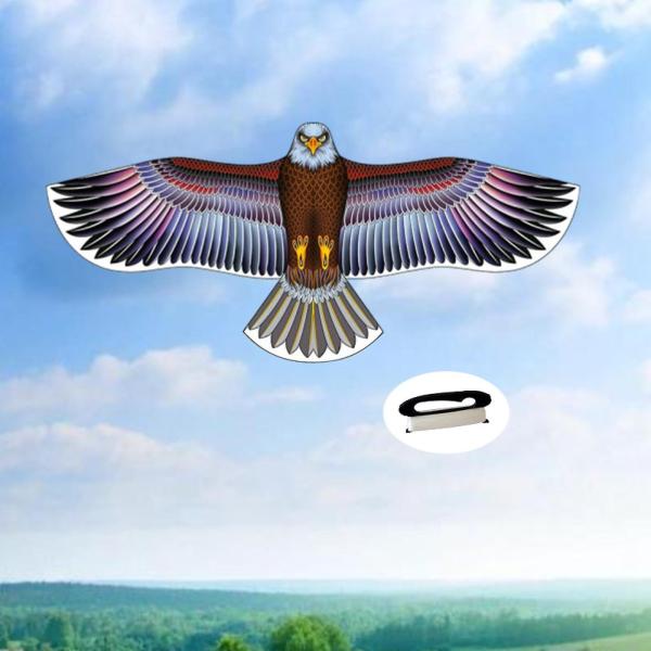 イーグルシェイプカイト アウトドアおもちゃゲーム 美しいスポーツカイト 休日の裏庭用 168cmx72cm