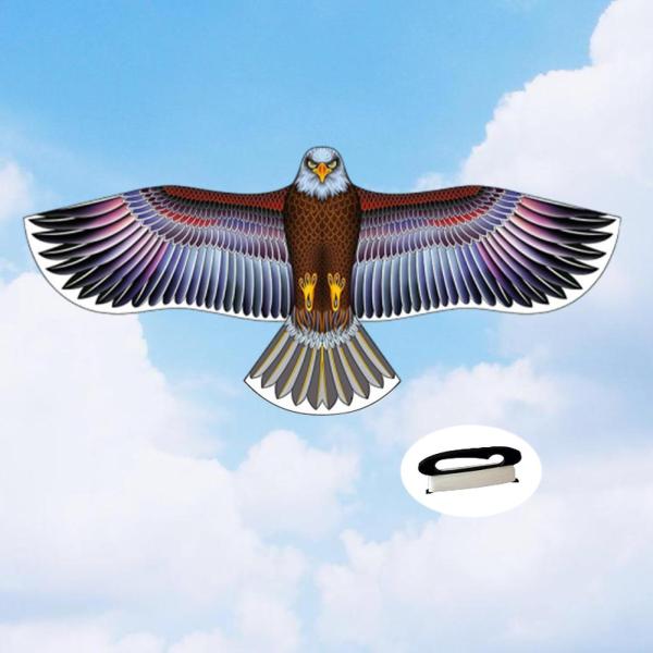 イーグルシェイプカイト アウトドアおもちゃゲーム 美しいスポーツカイト 休日の裏庭用 168cmx72cm