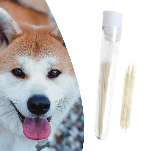 フェイク猫の??ひげ 本物そっくり DIY アクセサリー フェルトプロジェクト フェイスコスチューム 035mm ベージュ